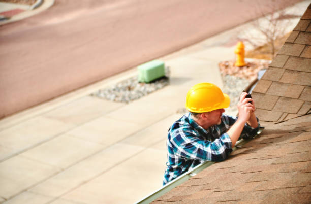 Best Roof Gutter Cleaning  in Sherman, IL