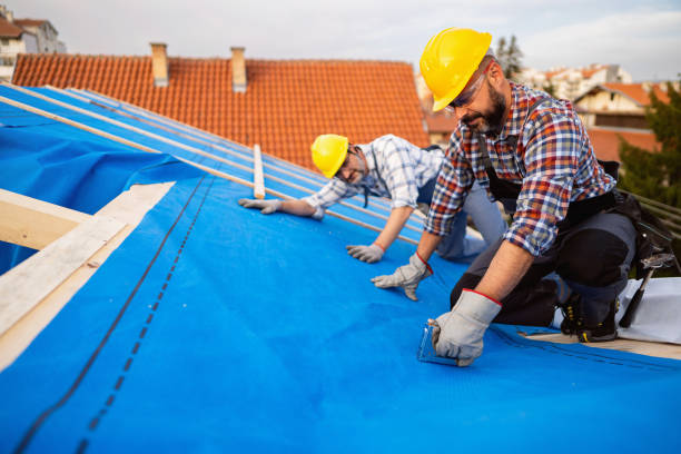 Best New Roof Installation  in Sherman, IL